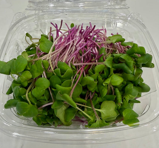 Solo Microgreens